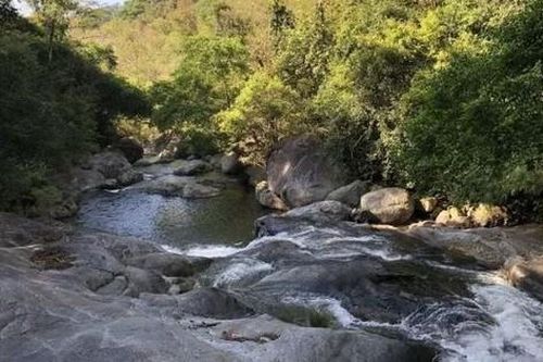 Loài vật mới chưa từng ghi nhận trên thế giới, vừa được phát hiện ở Việt Nam