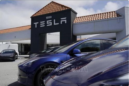 Tham vọng robot taxi tự lái của Tesla đối mặt với nhiều thách thức