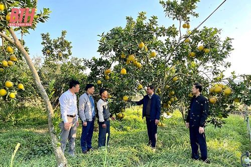 Nhân dịp huyện Hà Trung đón nhận Quyết định công nhận huyện Nông thôn mới: Thành công từ tâm huyết và sự đồng thuận