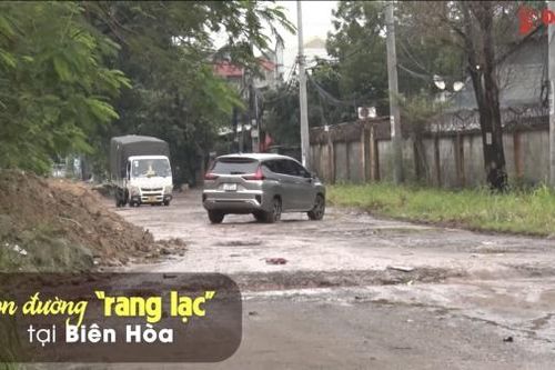 Con đường 'rang lạc' tại Biên Hòa