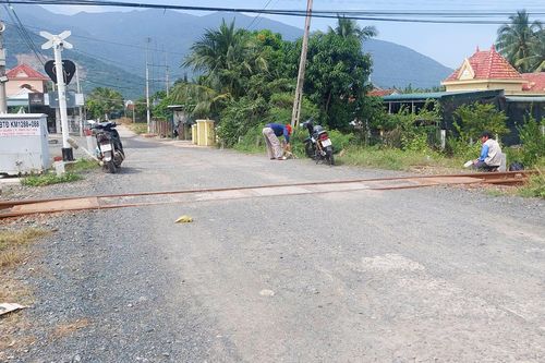 Băng qua đường sắt, 3 con trâu bị tàu tông chết