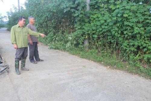 Tiên phong hiến đất làm đường