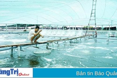 Chú trọng truyền thông gắn với chuyển đổi số cho nông dân