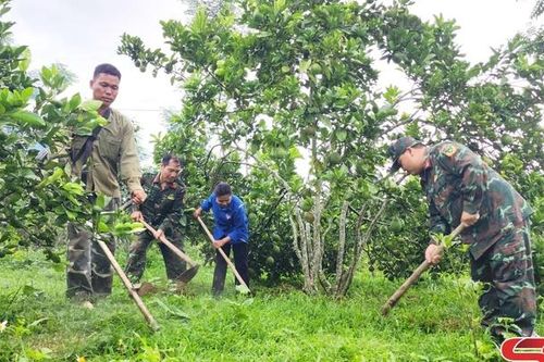 Chương trình mục tiêu quốc gia giảm nghèo bền vững ở Sốp Cộp