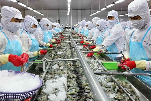 Doanh thu tài chính tăng đột biến, Thủy sản Minh Phú (MPC) báo lãi cao nhất 7 quý