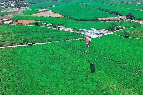 Sơn La: Quy hoạch khu dân dụng đô thị gắn với phát triển du lịch huyện Mộc Châu