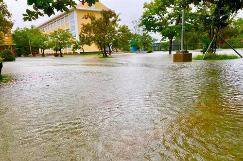 Thừa Thiên Huế: Chủ động ứng phó với bão Trami và gió mạnh trên biển