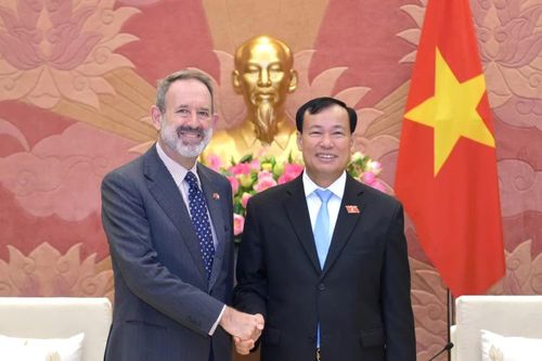 Chủ nhiệm Ủy ban Quốc phòng và An ninh Lê Tấn Tới tiếp Đại sứ Italia