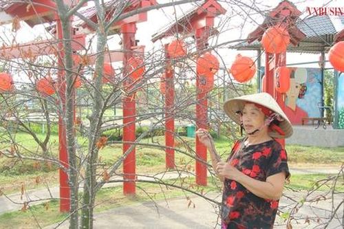 Lao đao sau bão, HTX gian nan khôi phục sản xuất