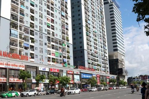 'Cá mập' ngoại liên tục gia tăng sở hữu tại Lideco với kỳ vọng về 'đất vàng'