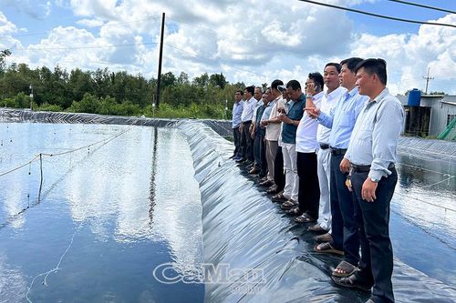 Người dân thêm lựa chọn phát triển kinh tế