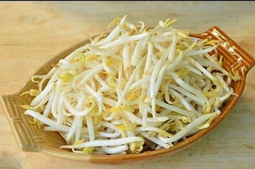 Cách phân biệt giá đỗ an toàn và giá tẩm hóa chất