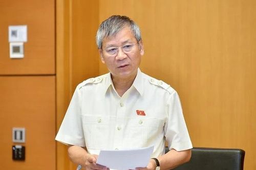 Đại biểu Quốc hội: 'Cần có giải pháp chặn đứng việc giá đất nhảy múa, rất kỳ lạ'