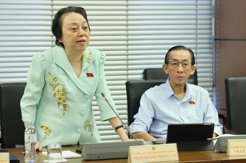 Đại biểu Quốc hội: Đảng viên sắp được bổ nhiệm mà sinh con thứ ba thì... coi như xong rồi