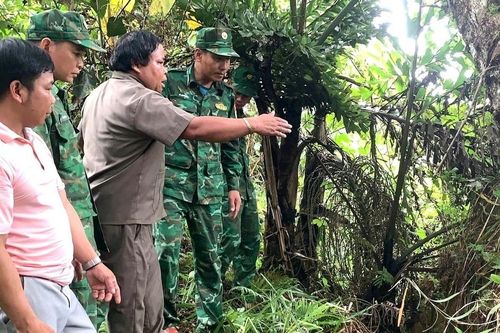 Quảng Nam: Công bố tình huống khẩn cấp về vết nứt, sụt lún xảy ra tại Tây Giang