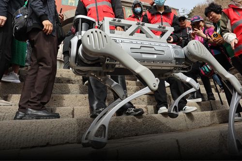 'Chó robot' dọn rác ở Trung Quốc