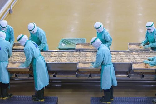 C.P. Việt Nam và hành trình hiện thực hóa giấc mơ thực phẩm sạch