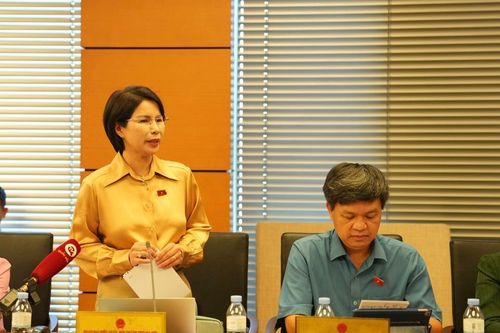 ĐBQH đề nghị có giải pháp căn cơ để giải quyết tình trạng tỷ lệ sinh giảm
