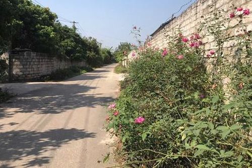 Bắc Giang: Xây dựng nông thôn mới sâu rộng, kiểu mẫu