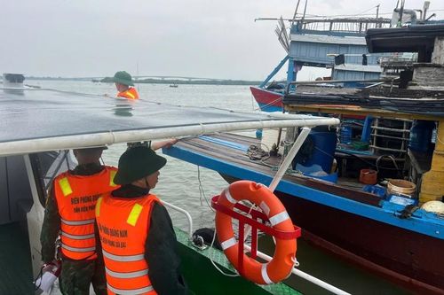 Biên phòng Quảng Nam giúp nhân dân gặt lúa, chằng chống nhà trước bão Trà Mi