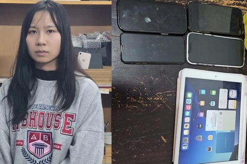 Nữ quái trốn thi hành án đi trộm