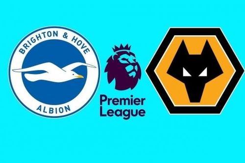 Nhận định, dự đoán tỷ số Brighton vs Wolves, 21h00 ngày 26/10 - Vòng 9 Ngoại hạng Anh