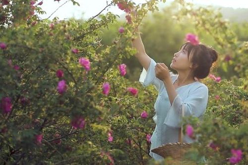 'Tiên nữ đồng quê' Lý Tử Thất tái xuất sau 3 năm vắng bóng
