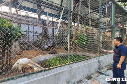Hà Nội: Tạo lập môi trường hạnh phúc cho động vật hoang dã