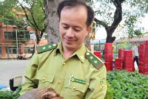 Liên tục phát hiện động vật quý hiếm sau đêm mưa ở TPHCM: Nguyên nhân do đâu?