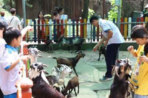 150 bạn nhỏ có hoàn cảnh đặc biệt thăm vườn thú lâu đời nhất Việt Nam