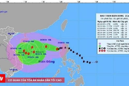 Quảng Ngãi: Cho học sinh, sinh viên nghỉ học để phòng tránh bão số 6 khi cần thiết
