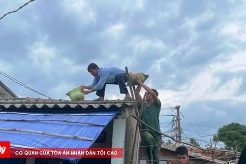 Đảo Lý Sơn hoàn thành việc chằng chống nhà cửa, tàu thuyền vào nơi neo đậu tránh bão số 6