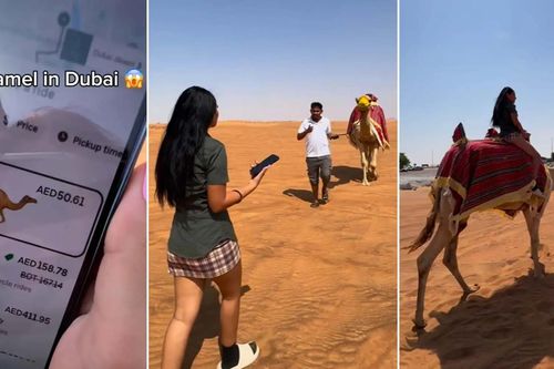 Thực hư video nữ du khách mắc kẹt giữa sa mạc, tình cờ gọi được 'taxi' lạc đà