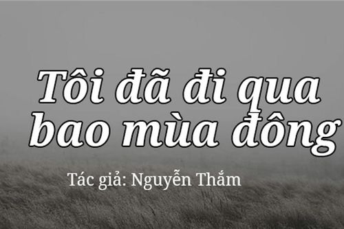 Tản văn hay: Tôi đã đi qua bao mùa đông