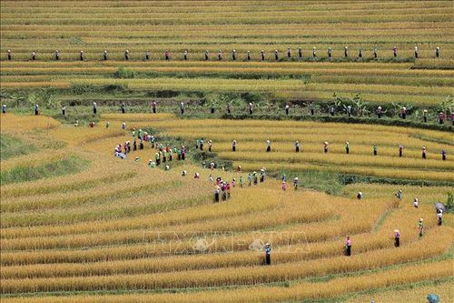 Đánh thức tiềm năng du lịch Miền Đồi
