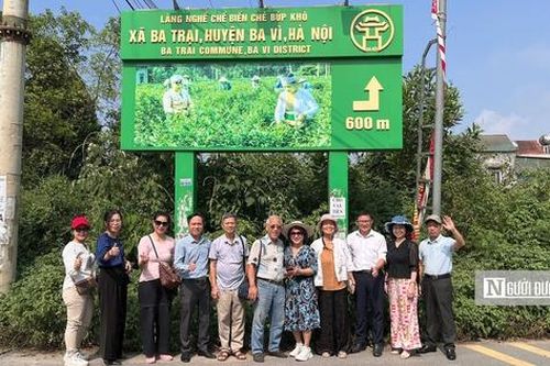 'Đánh thức' vùng chè Ba Trại thành điểm đến du lịch hấp dẫn