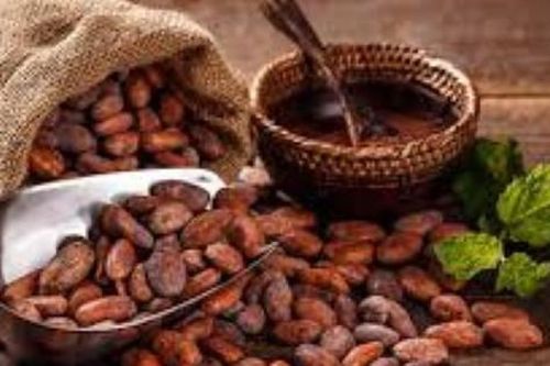 Việt Nam có loại hạt lọt top ngon nhất thế giới, vừa bổ dưỡng vừa ngừa ung thư