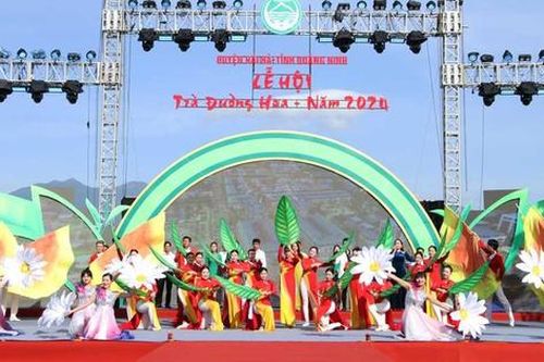 Quảng Ninh: Lần đầu tổ chức Lễ hội Trà Đường Hoa