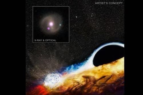 Ảnh độc từ NASA: Lỗ đen 'hóa kiếp' vật thể khác thành sát thủ