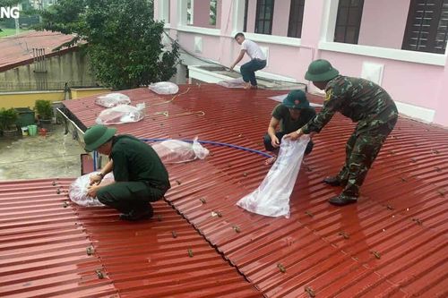 Lực lượng vũ trang chủ động ứng phó bão số 6