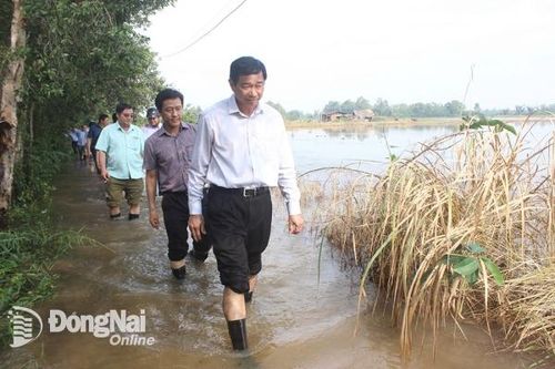 Khí hậu cực đoan gia tăng