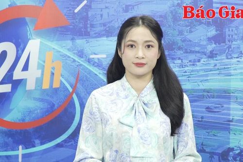 Gia Lai 24h: Tuần lễ Hoa dã quỳ-Núi lửa Chư Đang Ya 2024 khai mạc vào 8 giờ sáng ngày 8-11