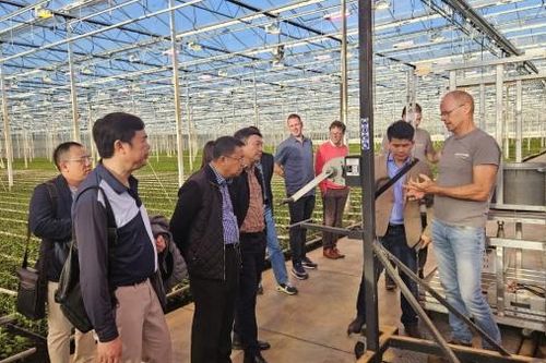 Cơ hội hợp tác phát triển ngành công nghiệp hoa Đà Lạt