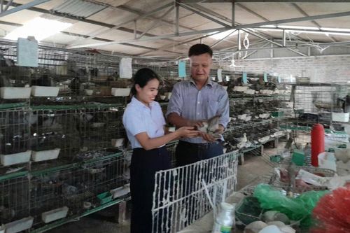 Nền tảng để tạo đà cho phát triển