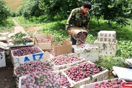 Quyết tâm thực hiện thắng lợi nghị quyết đại hội
