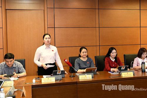 Đoàn đại biểu Quốc hội tỉnh thảo luận tình hình kinh tế-xã hội năm 2024