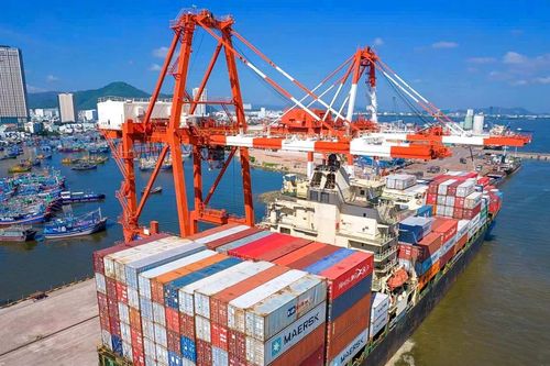 Lợi nhuận quý 3 giảm sâu, Cảng Quy Nhơn (QNP) vẫn vượt xa mục tiêu lãi cả năm