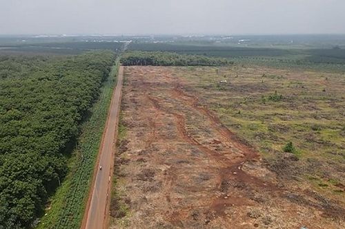 Tầm quan trọng của tuyến đường 769 nối Dầu Giây - sân bay Long Thành