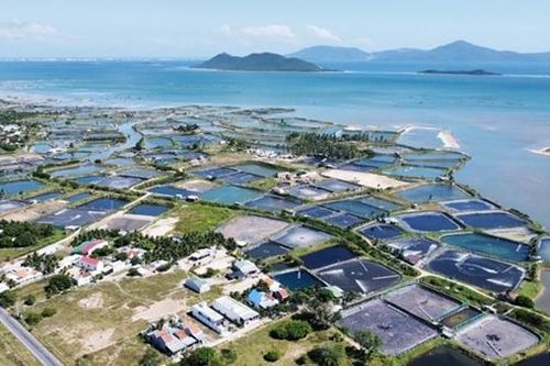 Khánh Hòa đặt nhiều kỳ vọng vào dự án Cảng hàng không quốc tế Vân Phong, vì sao?