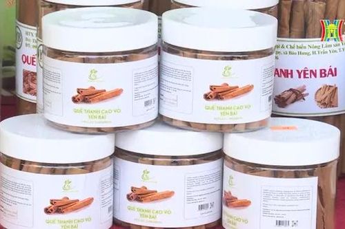 Đặc sản tiêu biểu các địa phương có mặt tại Hà Nội